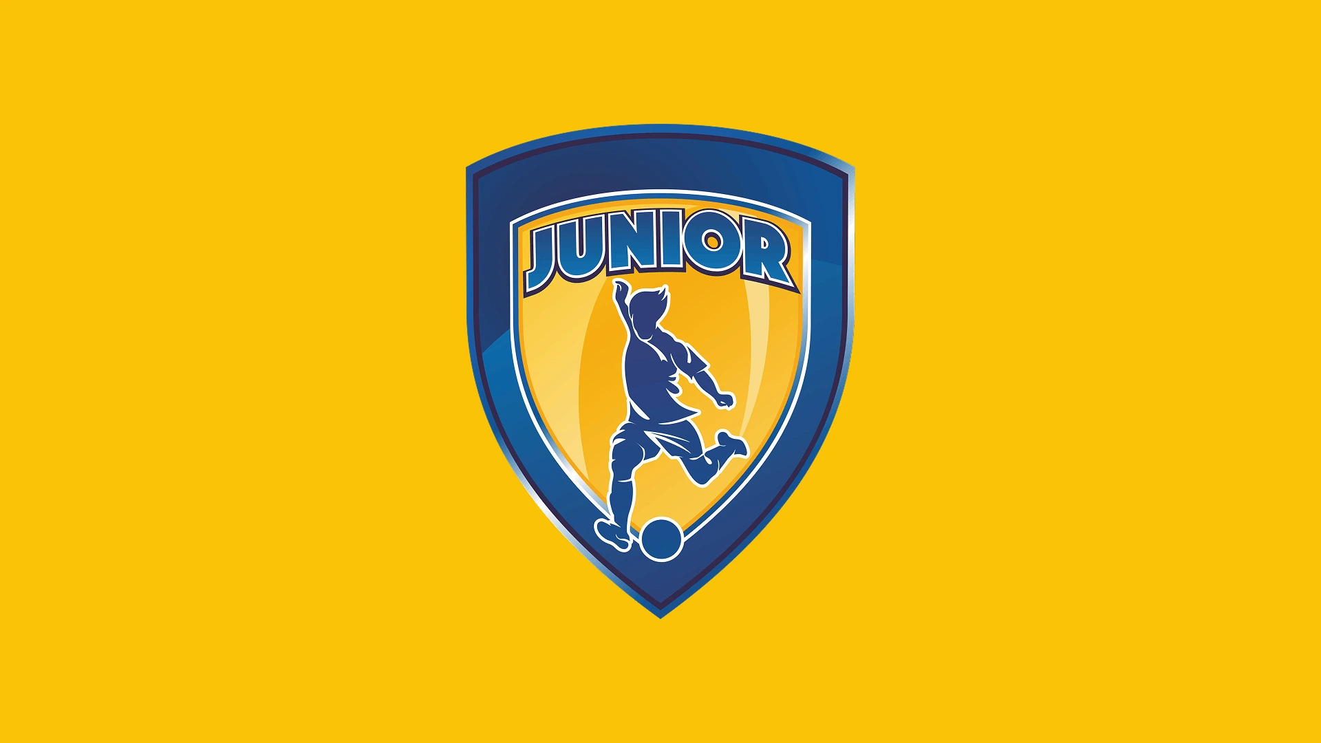 Junior CRM — система управления сетью футбольных школ